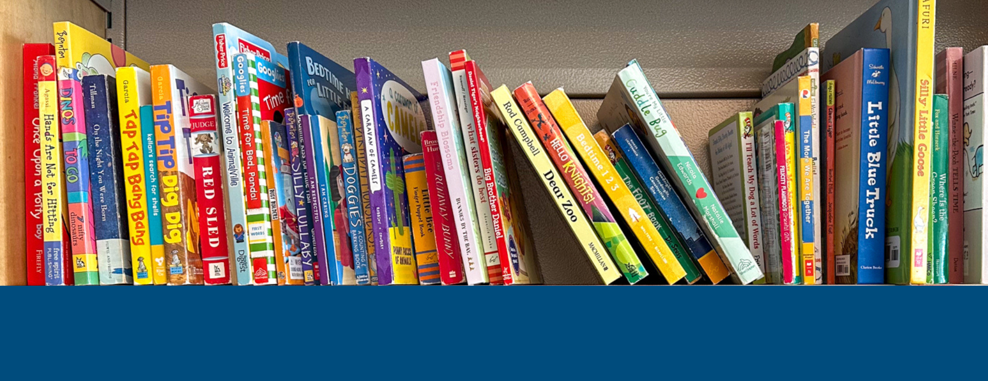 Brooklyn Book Bodega Peer-to-Peer Fundraising